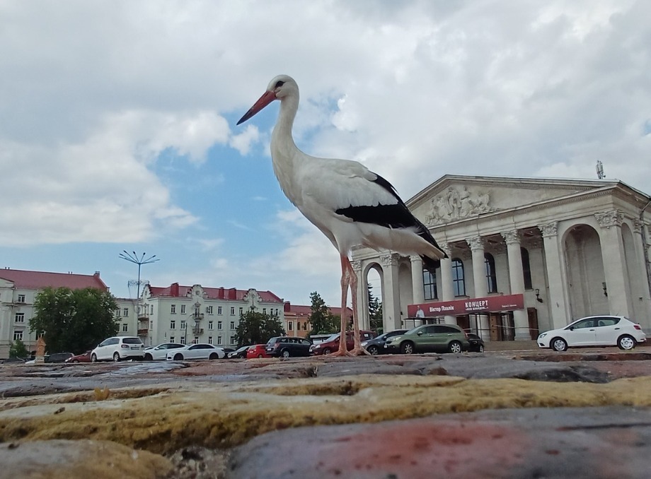 фото тижня