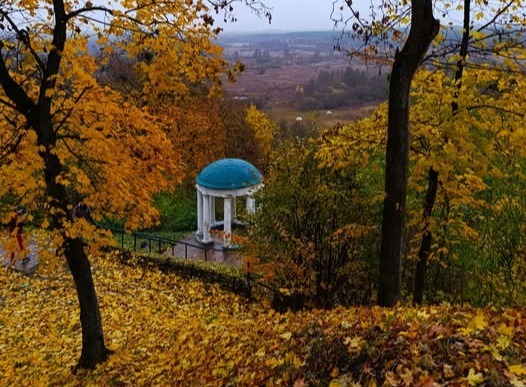 фото тижня