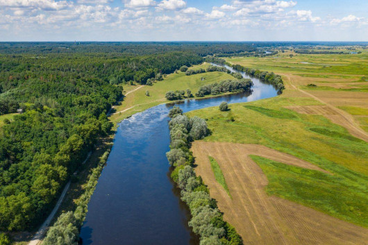 Яка річка має найдовшу течію в межах Чернігівської області?