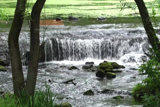 Поблизу Чернігова є навіть водоспад. А де саме?