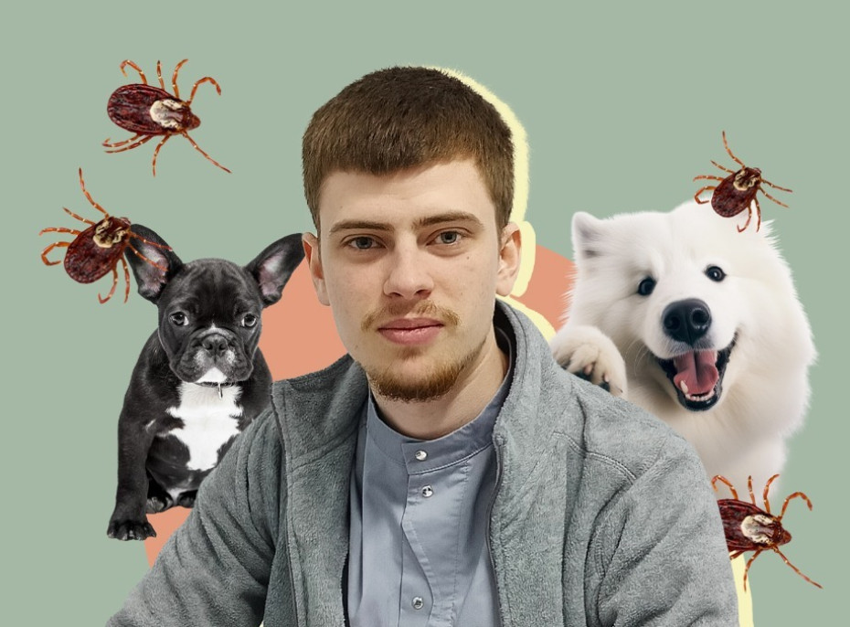 Топ новость